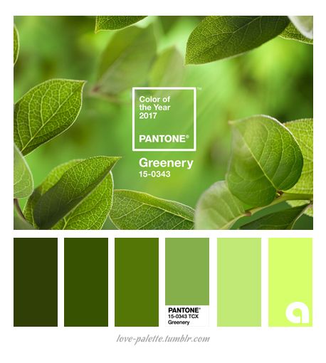greenery 4
