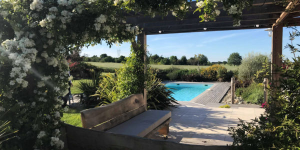 Jardin - Plantes grimpantes - Pergola - Ombre - Terrasse - Piscine - Déco - Salon de jardin - Cuisine d'été - Olivier
