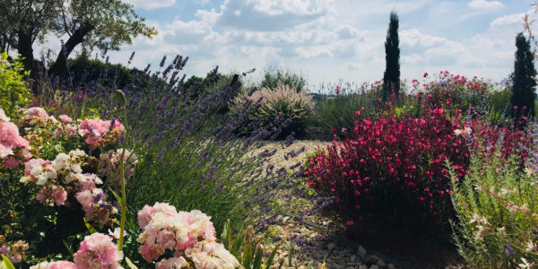 Aménagement d'un jardin fleurie - Hamac - Détente - Olivier - Jardin méditerranéen