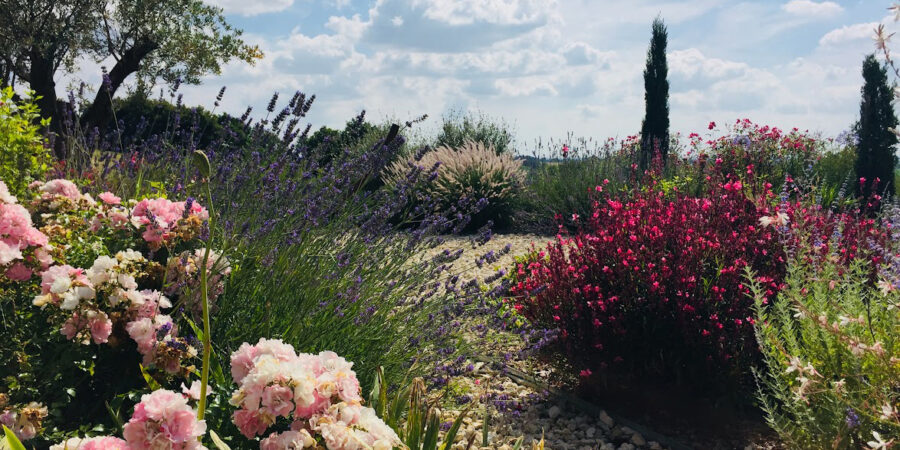Aménagement d'un jardin fleurie - Hamac - Détente - Olivier - Jardin méditerranéen