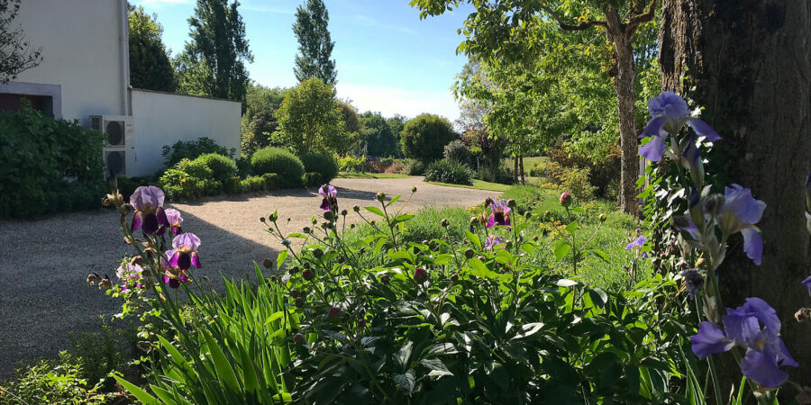 Aménagement de jardin - Champêtre - Jardin - Ombre - Montauban - Entrée maison
